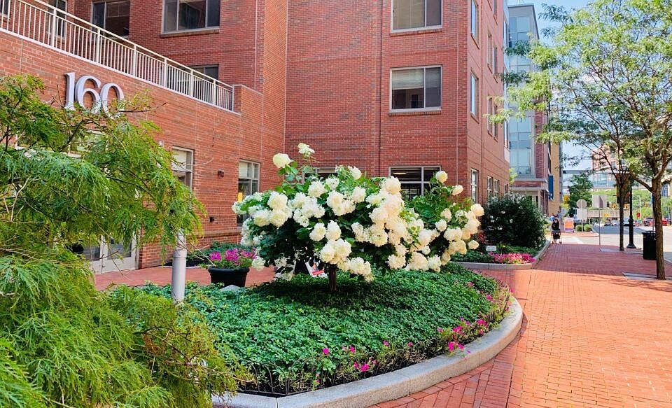 160 Pleasant Street Apartments 160 Pleasant St Malden, MA Zillow