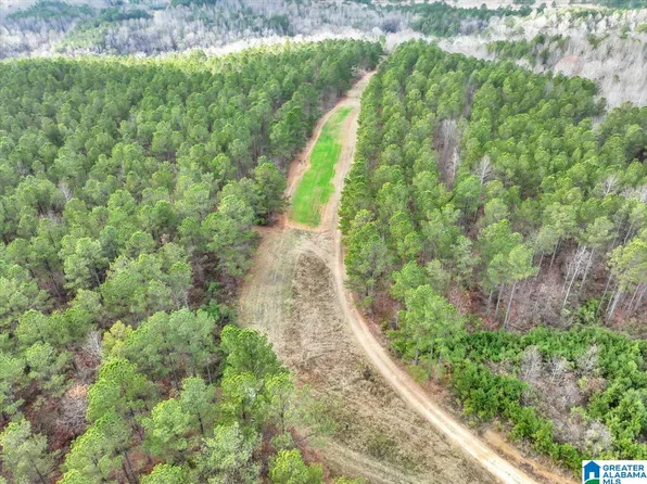 370 County Road 77 #1, Cullman, AL 35057