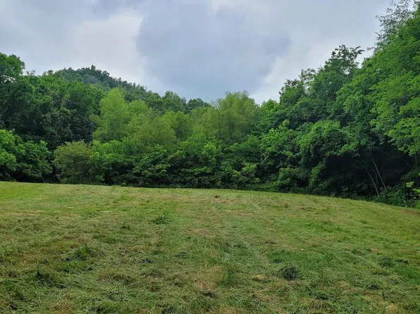 3461 Cowser Rd, Cornersville, TN 37047