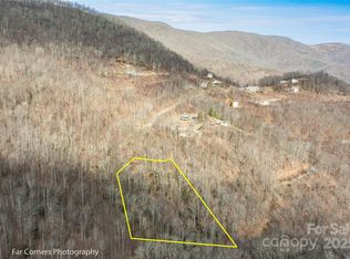 9 Chandra Ln, Clyde, NC 28721