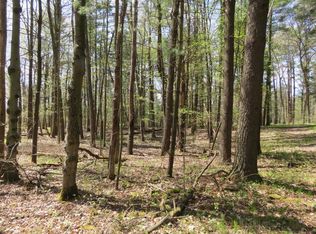 16500 Lake Shore Dr, Gowen, MI 49326