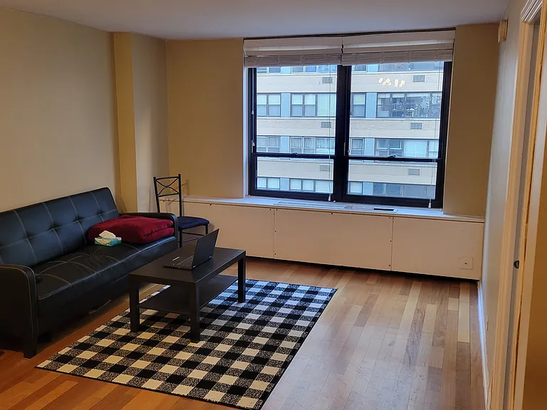222 E Pearson St #1407 — Photo 5