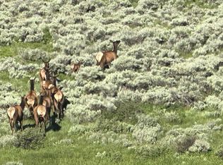 723, 771 Uncompahgre Drive, Powderhorn, CO 81243