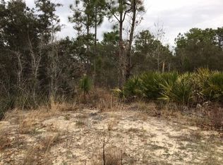 907 W Wycliffe Ln, Citrus Springs, FL 34434