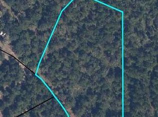 10 THE OAKS RANCH Road, Green Cove Springs, FL 32043