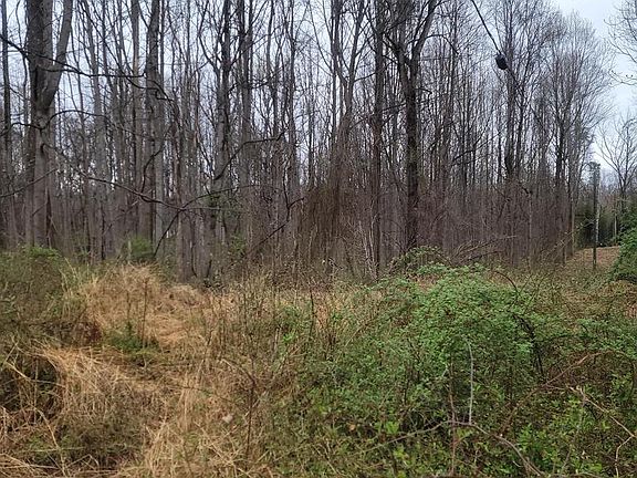 3rd image of Winfield Rd