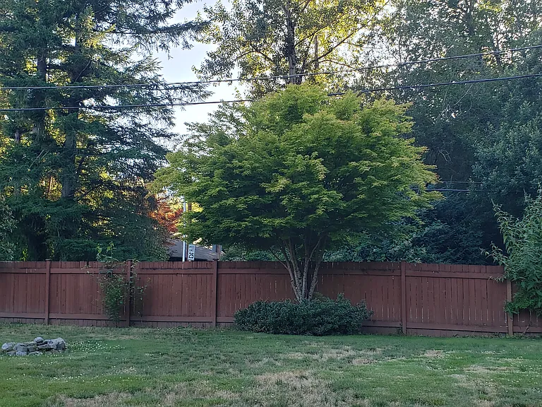 800 Ballarat Ave NE — Photo 30