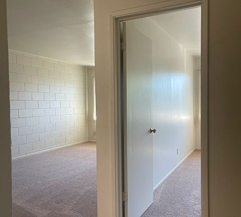 5th image of 647 E 17th St APT 334
