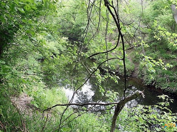 5th image of 0 Brushy Branch Rd