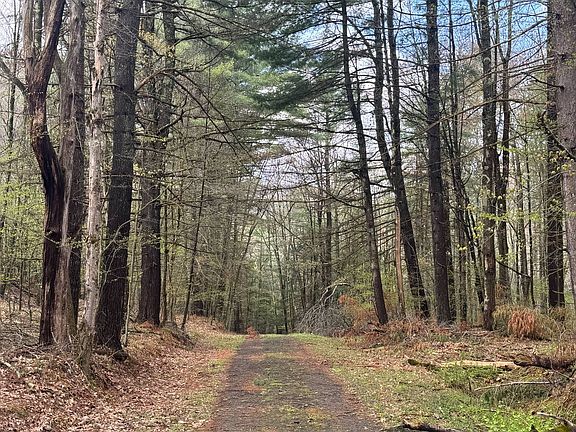 5th image of 1391 Starrucca Creek Rd