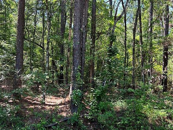 2nd image of 0 Frazier Cemetery Rd