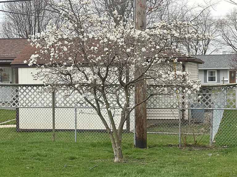 508 Kenyon Ave — Photo 31