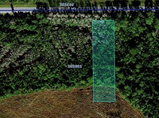 Deen Still Rd E LOT B-5, Polk City, FL 33868