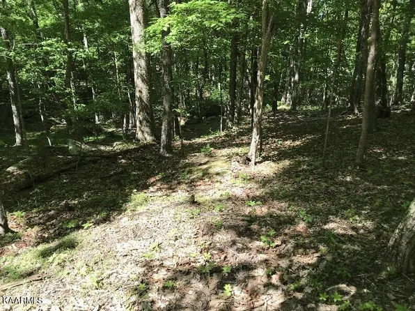 148 Springdale Dr, Fairfield Glade, TN 38558