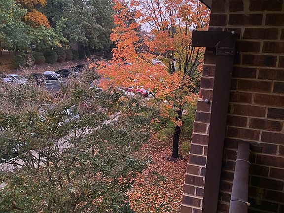 view outside from balcony