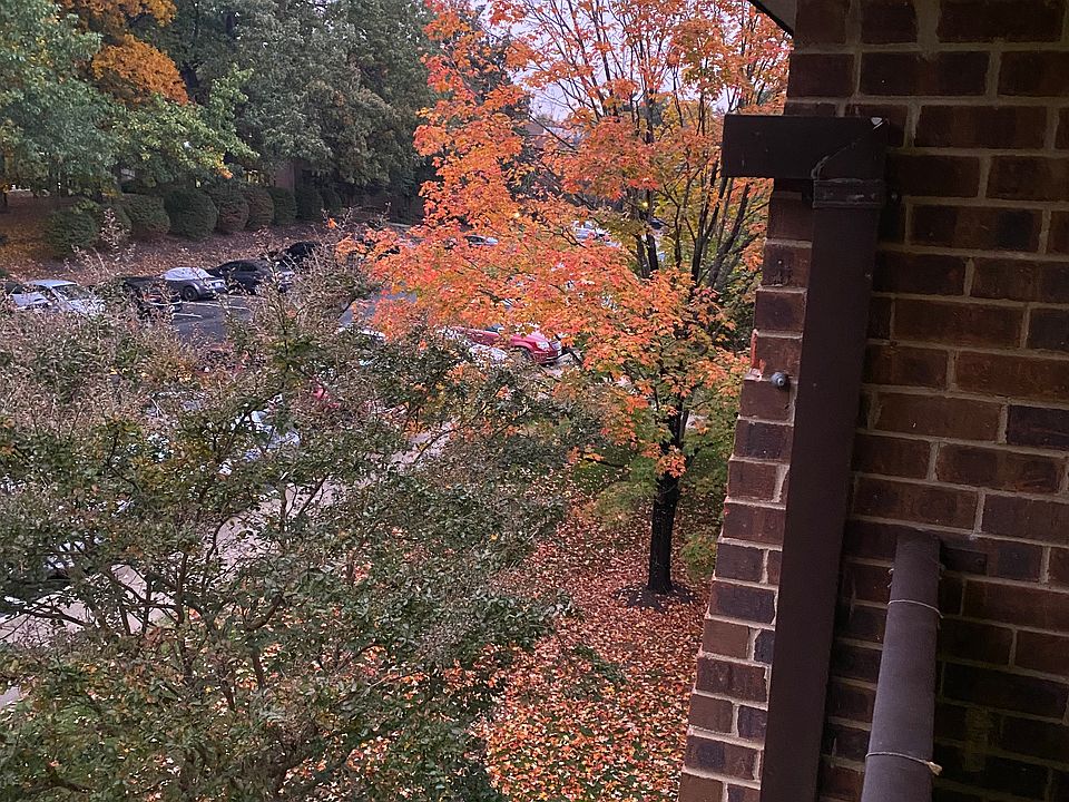 view outside from balcony