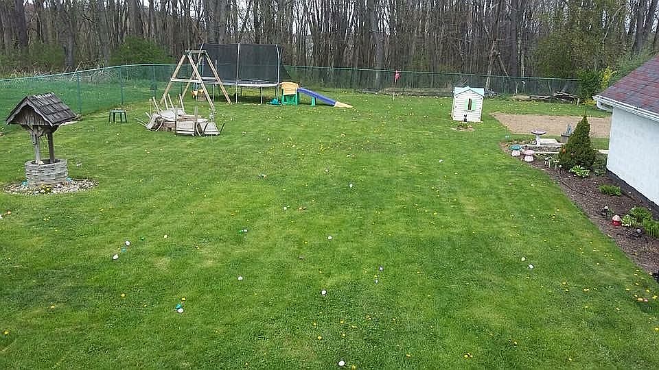 Fenced portion of backyard