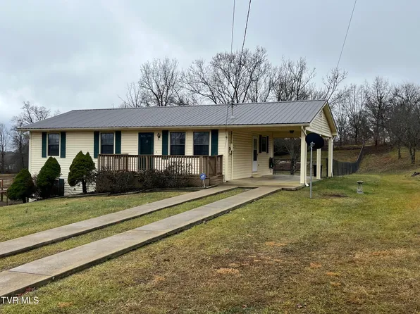 305 Brian Cir, Afton, TN 37616