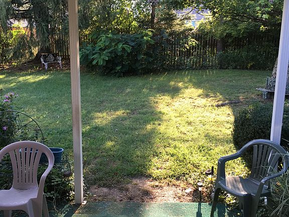 Back yard