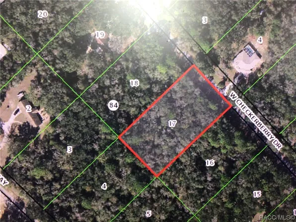 12482 W Checkerberry Dr, Crystal River, FL 34428