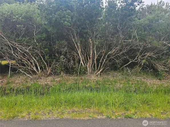 1051 Fariwood Drive SW, Ocean Shores, WA 98569