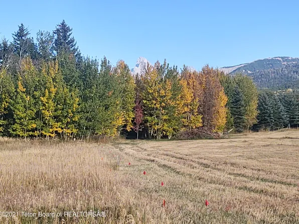445 Targhee Towne Rd, Alta, WY 83414
