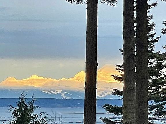 Mount Baker View