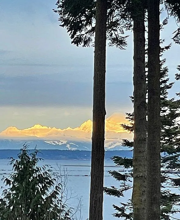 Mount Baker View