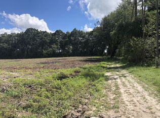 18258 61st Rd, Mc Alpin, FL 32062