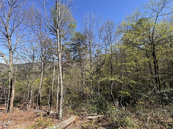 5th image of 11 Perry Circle Ln Lot 11
