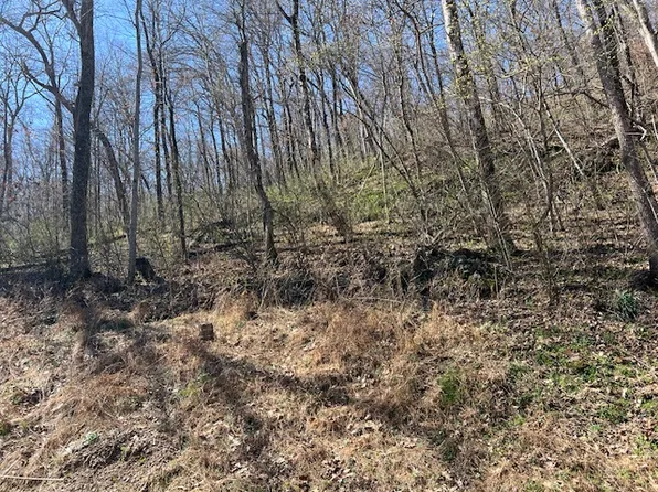 44 Wildcat Ln #41, Eureka Springs, AR 72631