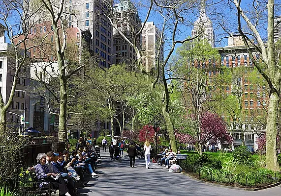 Rented by Owner | media 9