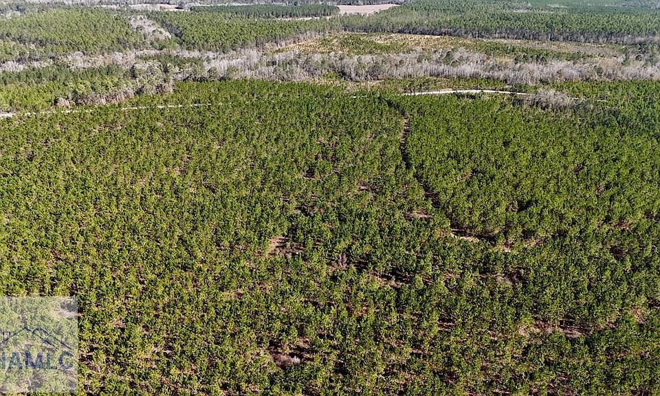 2nd image of Owens Rd