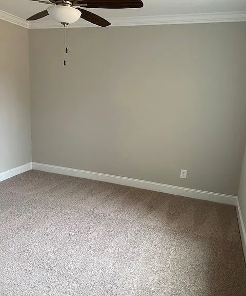 8328 Coldwater Rd — Photo 10