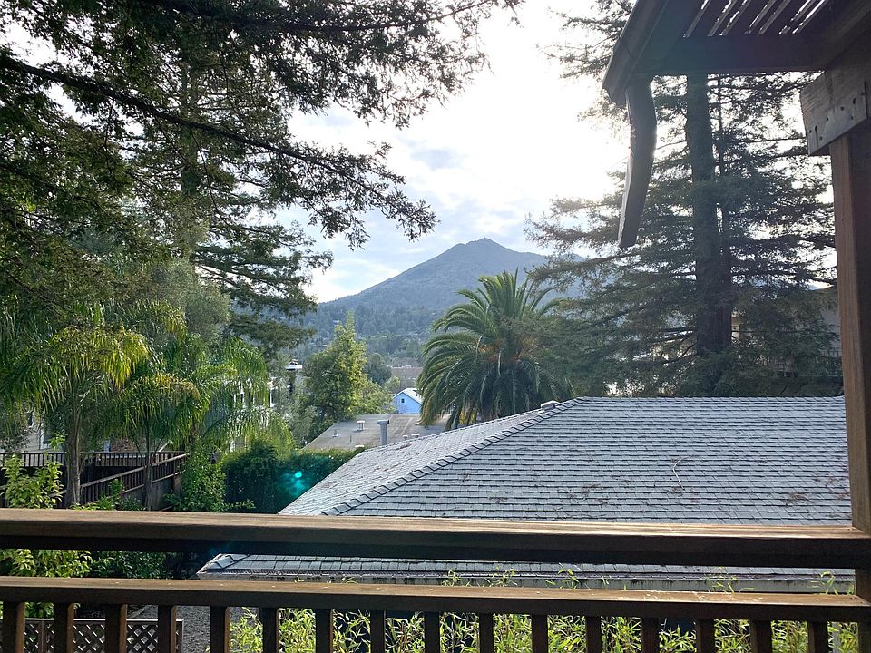 View from deck