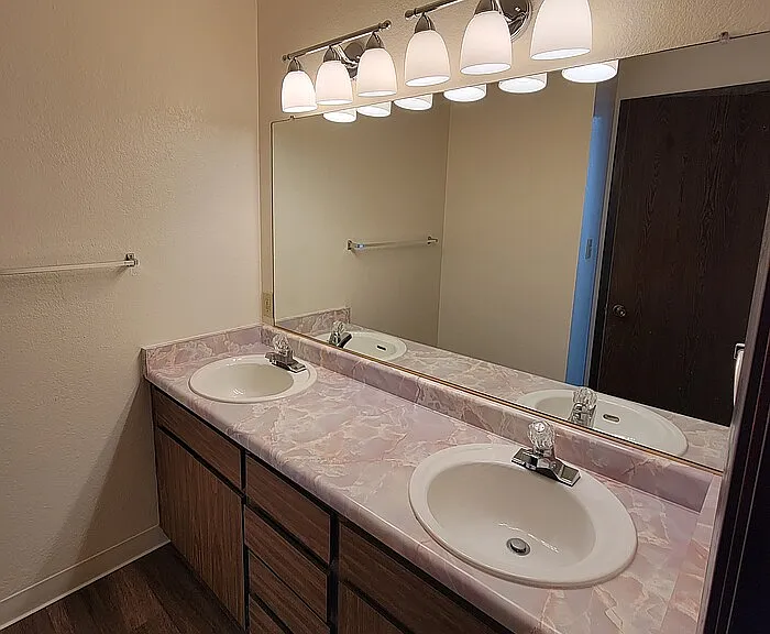 Dual Sink Vanity in Master Bathroom