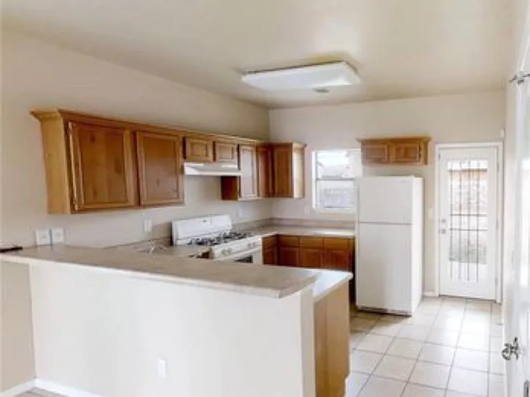 11957 Mesquite Gum Ln — Photo 5