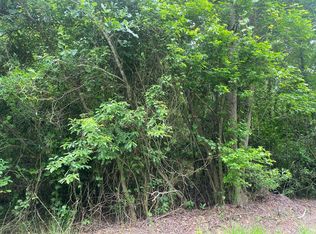 0 Neighborhood Dr, Saint George, SC 29477