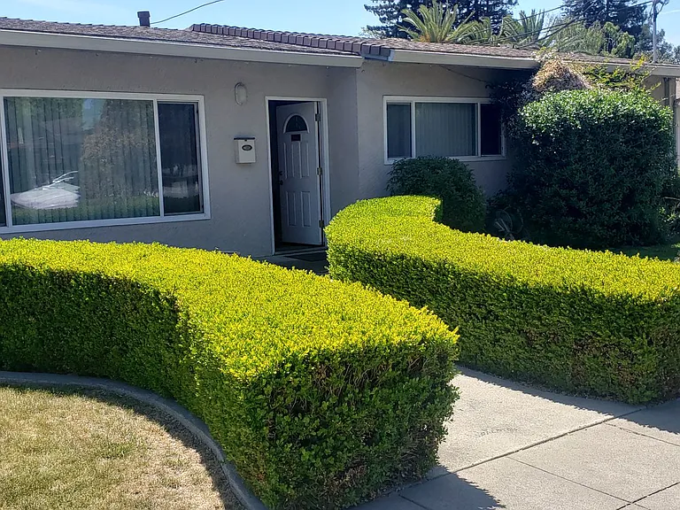 All Single Story Apartment Community — Photo 43