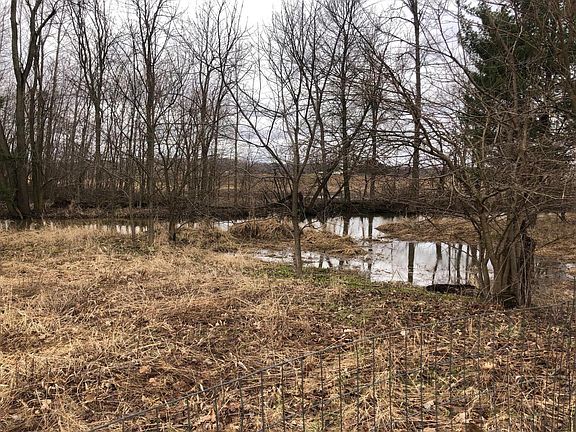 4th image of 10220 Woodbridge Rd