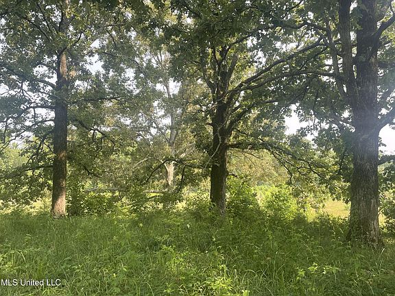 5th image of 10 Mississippi Hl #4-E