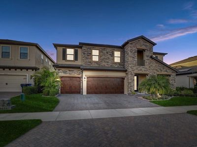 12857 Satin Lily Dr, Riverview, FL, 33579