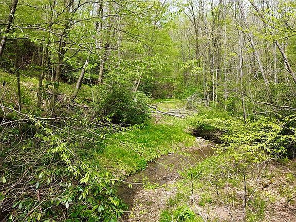 2nd image of TBD Greer Town Road