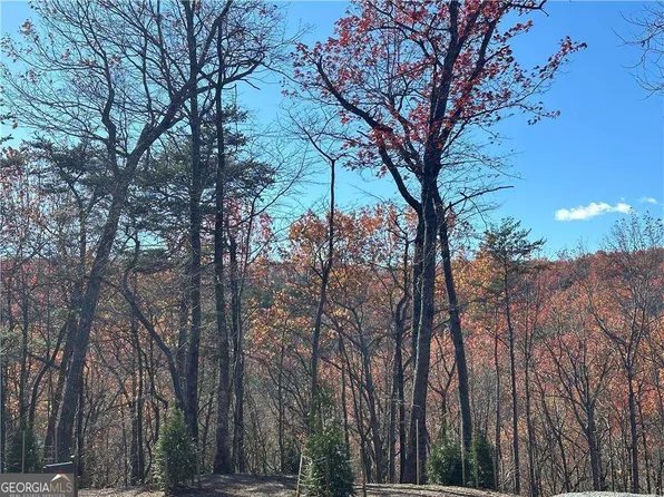 503 Saint Andrews Way, Ellijay, GA 30536