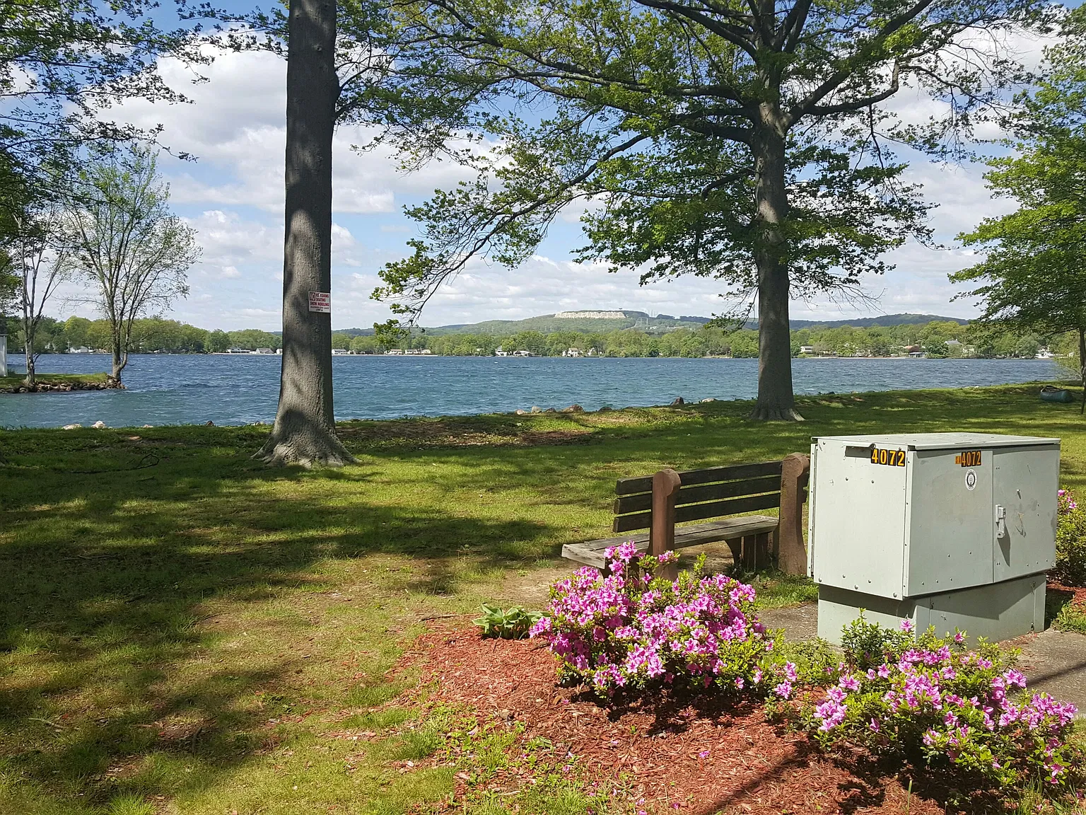 1 bed, $975 — Photo 3