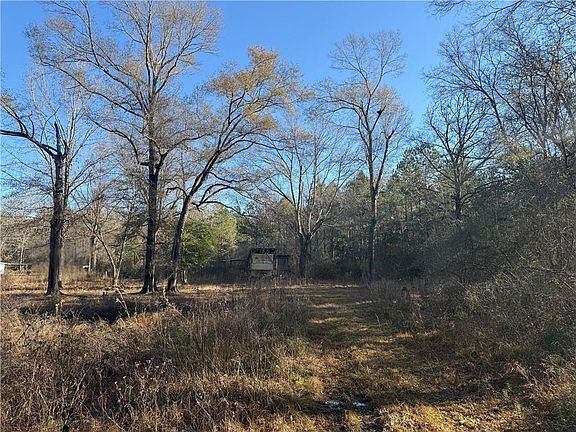 5th image of 25230 Fire Tower Rd
