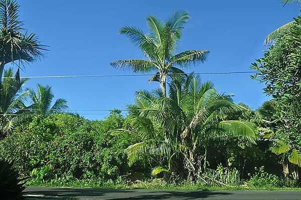 1st image of 12-411 Puhala St Lot 30