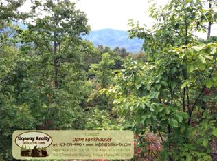 Smithfield Rd, Tellico plains, TN 37385