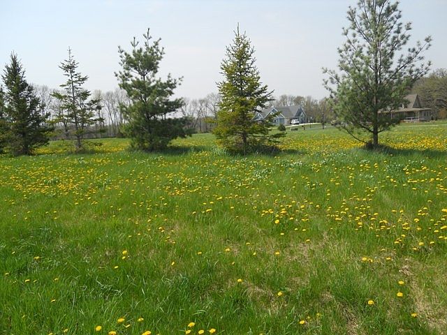 2nd image of L2 River Dr