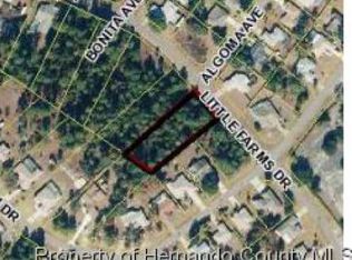 13404 Little Farms Dr, Spring Hill, FL 34609